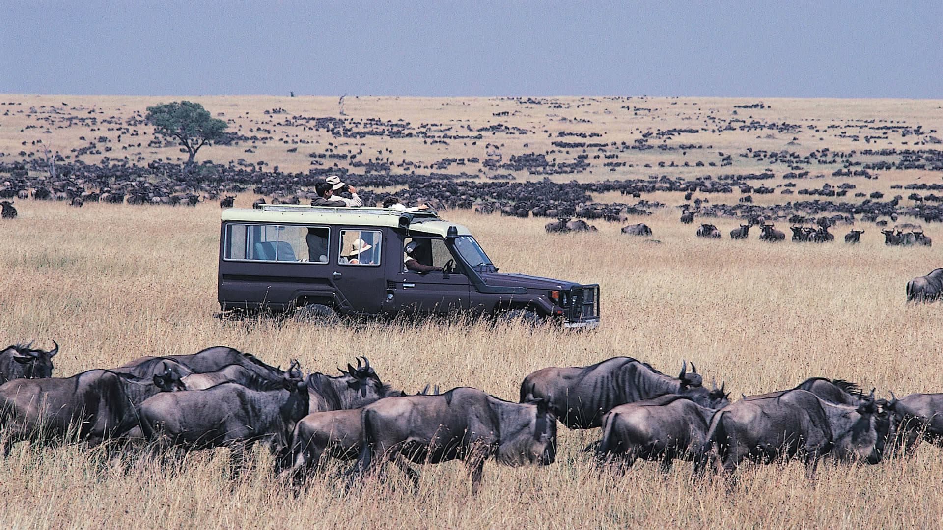 3 Days Masai Mara Safari